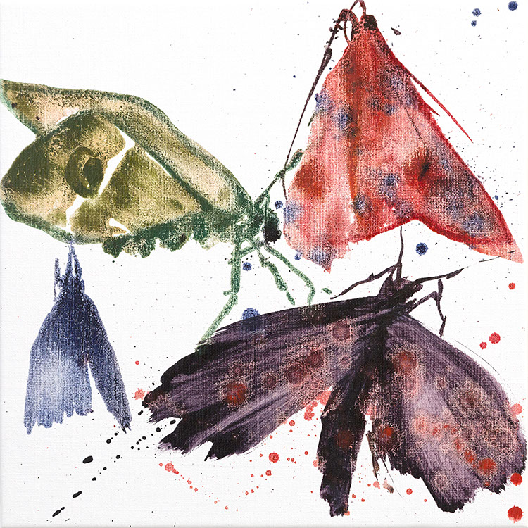 Small Moths 17